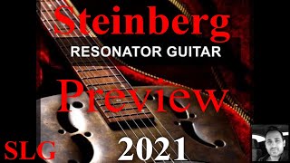 Steinberg | VST Loops and Sounds | Resonator Guitar