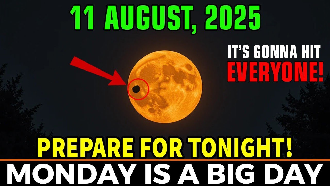 Full Moon Portal is OPEN... 5 Things You NEED to KNOW! Sturgeon Moon in Aquarius! 11 August 2025