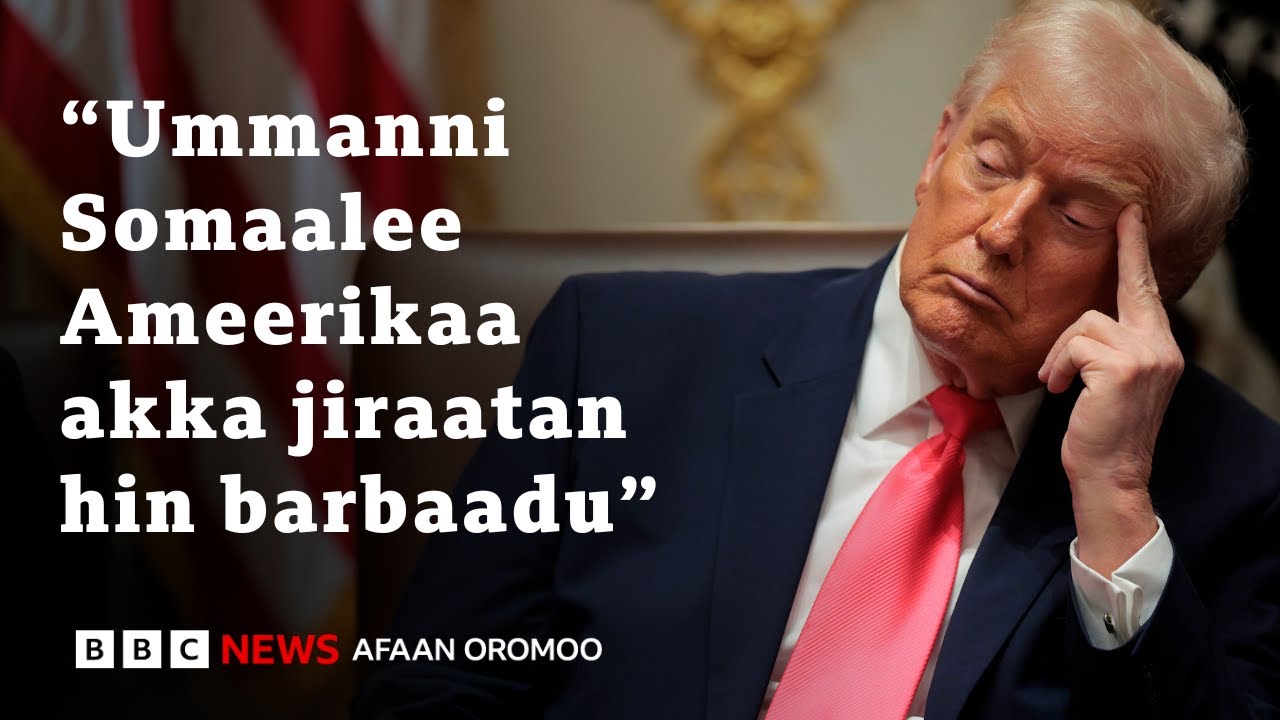 Tiraamp UStti Somaalota maaliif 'arguu hin fedhu' jedhan? | BBC News Afaan Oromoo