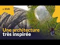 Une architecture trs bioinspire  nature  futur 