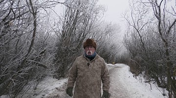 The Christmas Bird Count   longest running citizen science project