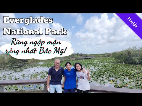 Video: Công viên quốc gia Everglades: Hướng dẫn đầy đủ