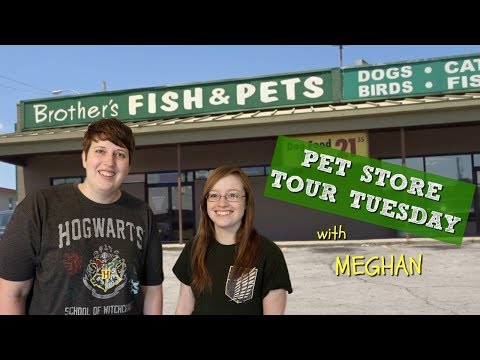 PSTT Ep 1: Brothers Fish and Pets - YouTube