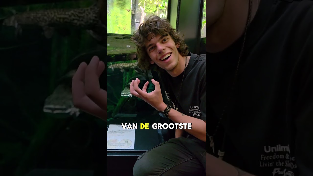 De Arapaima! Een Levend Fossiel!