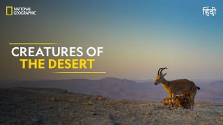 Creatures of the Desert | Hostile Planet | Full Episode | S1E4 | National Geographic