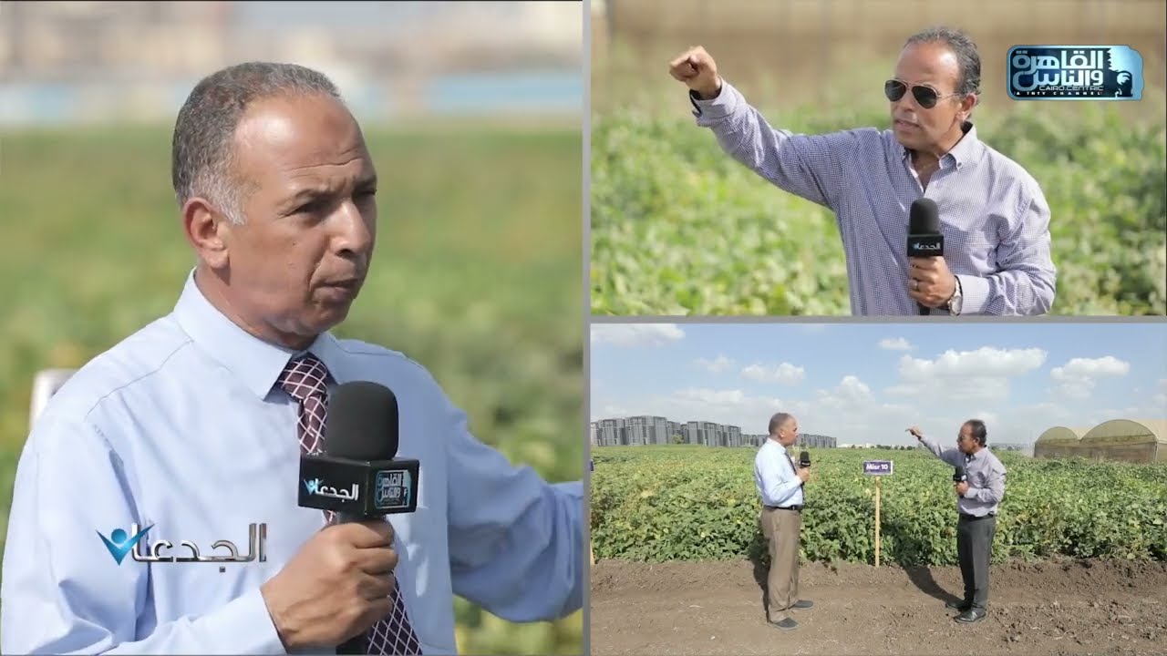 د.عادل الجارحي: تنخفض تكلفة زراعة فول الصويا مقارنة بغيره ما يجعله أكثر ربحية