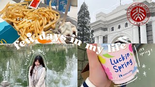 Vlog#13 北京大学上课日常、北大生逛清华 PKU VLOG