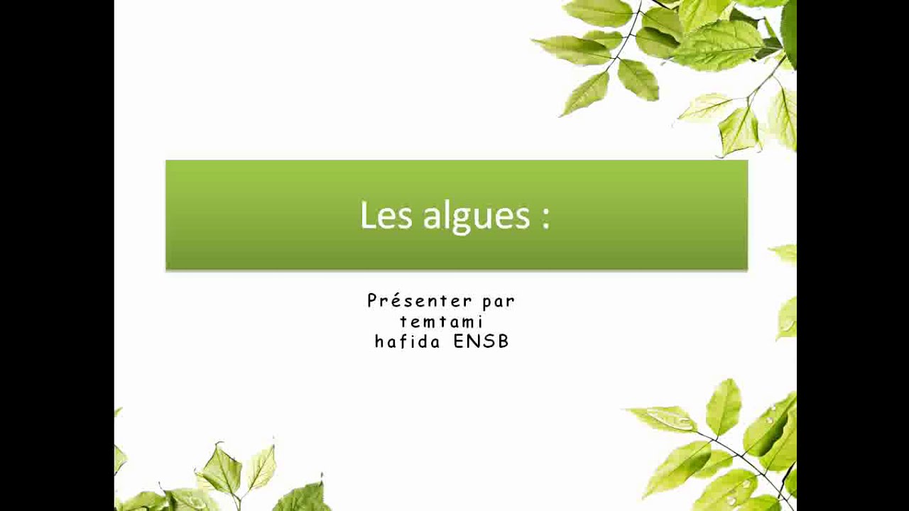 LES ALGUES 2: les types des thalles + les modes de crouissances des algues