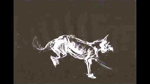 White Cliffs - Britton/O