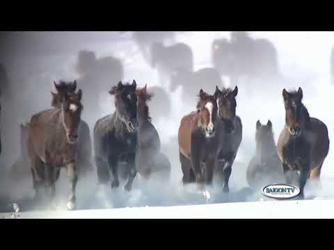 Video: Kiến Trúc Ngựa Phi Nước đại