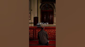 القارئ محمد هشام {فلا يحزنك قولهم}