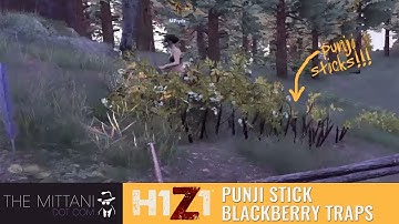 Invasion Fun: H1Z1 Punji Stick Blackberry Traps