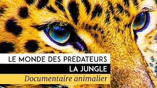 Le monde des prédateurs - La Jungle