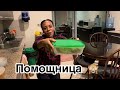 Наша веселая помощница ❤️🤗 \\\ Обзор массажного кресла 😜