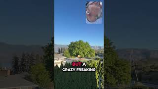 Weather from the deck. May 2/26 evening weather update. #weather #kelowna #westkelowna #spring ￼