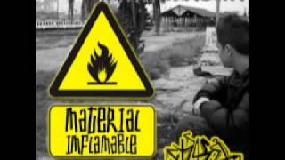 02TIKO-Pinto (Material inflamable)