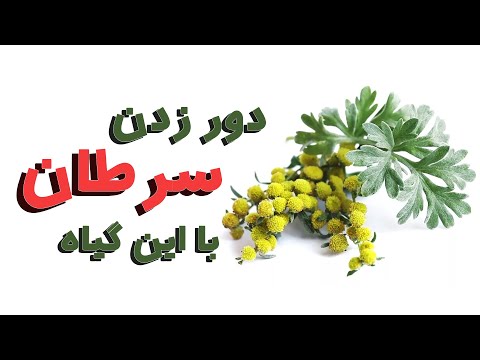 تصویری: افسنطین شوید