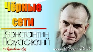 Константин Паустовский. ЧЕРНЫЕ СЕТИ. Рассказ. Читает Геннадий Долбин