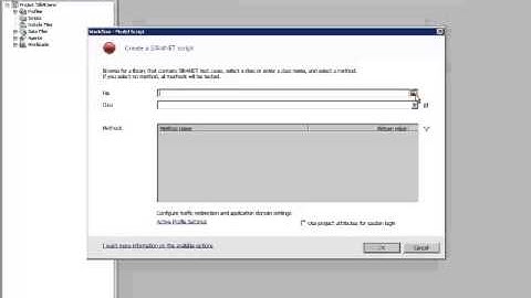 Silk4Net Script in Silk Performer