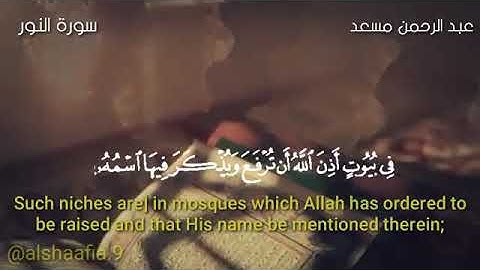 سورة النور |38-36|القارئ عبدالرحمن مسعد