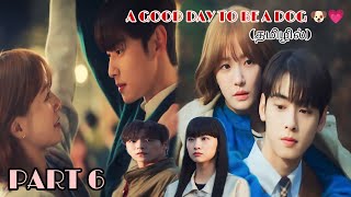 DOG GIRL?HANDSOME TEACHER || PART 6 || NEW KOREAN DRAMA EXPLAINED IN TAMIL | A GOOD DAY TO BE A DOG