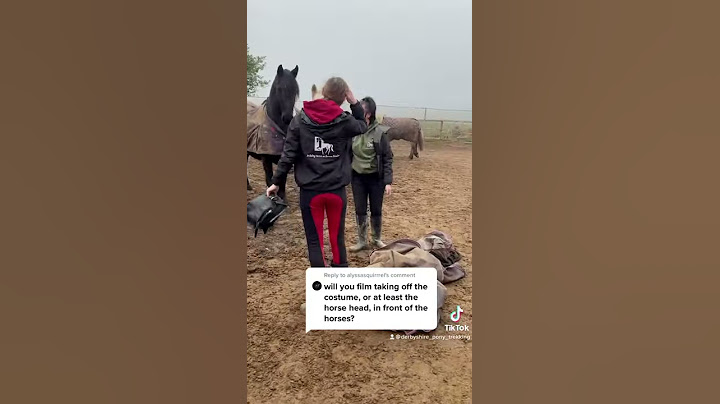 The fake horse reveal!