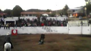 Toros la cañada😱
