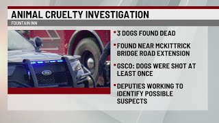 3 dogs found shot to death along Greenville Co. road