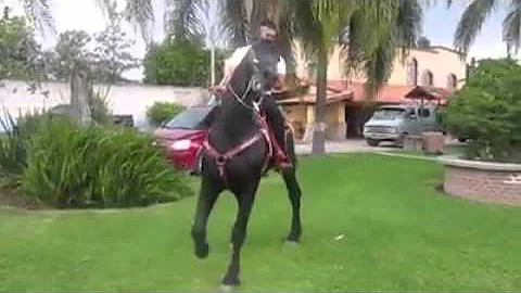 EL Corrido De OSCAR MANRIQUEZ.