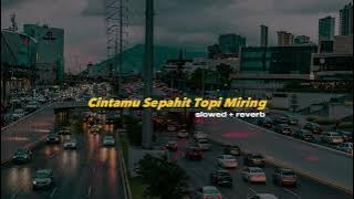 Cintamu sepahit topi miring (slowed   reverb) viral tik tok || Trukan vibes🥀