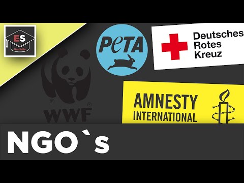 NGO´s - Nichtregierungsorganisationen - Beispiele - Kritik - NGO einfach erklärt!