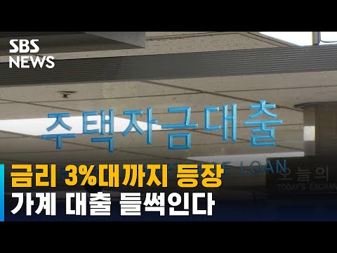   3 대 금리 주택담보대출까지 등장 가계 대출 들썩인다 SBS