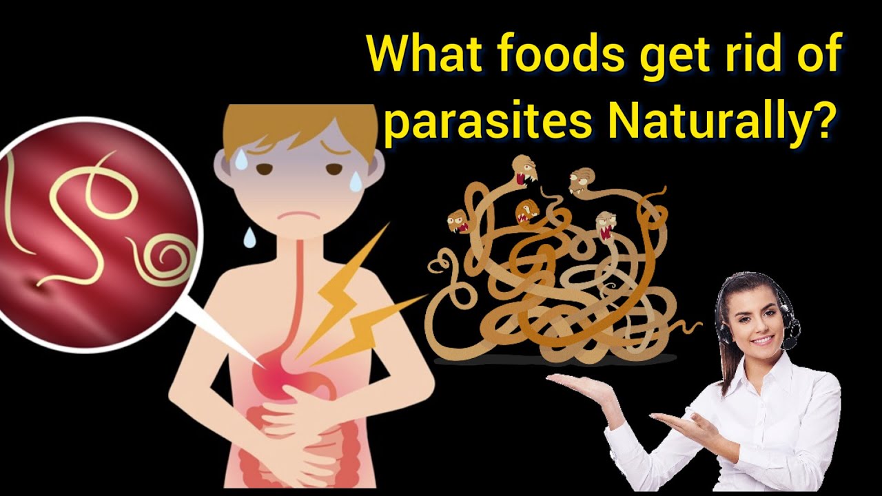 What Foods Get Rid Of Parasites Naturally YouTube what-foods-get-rid-of-parasites-naturally-youtube