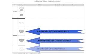 Self-Directed Violence Classification System Training