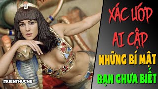 XÁC ƯỚP AI CẬP - bí mật bạn chưa biết [HistoryNe] [Dưa Leo DBTT]