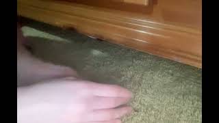 My first ASMR video.
