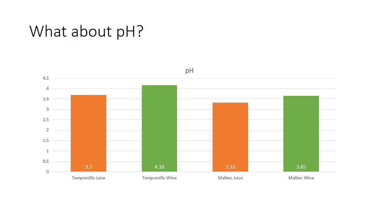 Practical Red Wine Malbec and Tempranillo