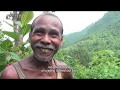 Voice of Kutia Kondh II Samadrusti Tv II
