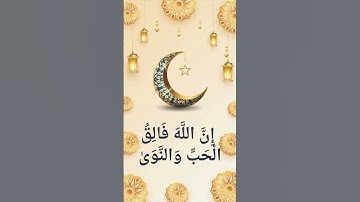 القارئ هاني الرفاعي - إِنَّ اللَّهَ فَالِقُ الْحَبِّ وَالنَّوَىٰ - #هاني_الرفاعي