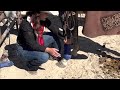 004: Equine Sport Boots