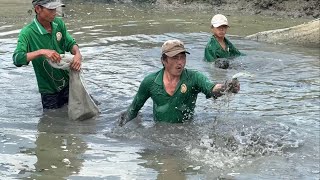 Cá Trê Trắng Nấu Cháo Gỏi Ngó Sen Lai Rai Sau Cơn Mưa Chiều.Góc Làng Quê873