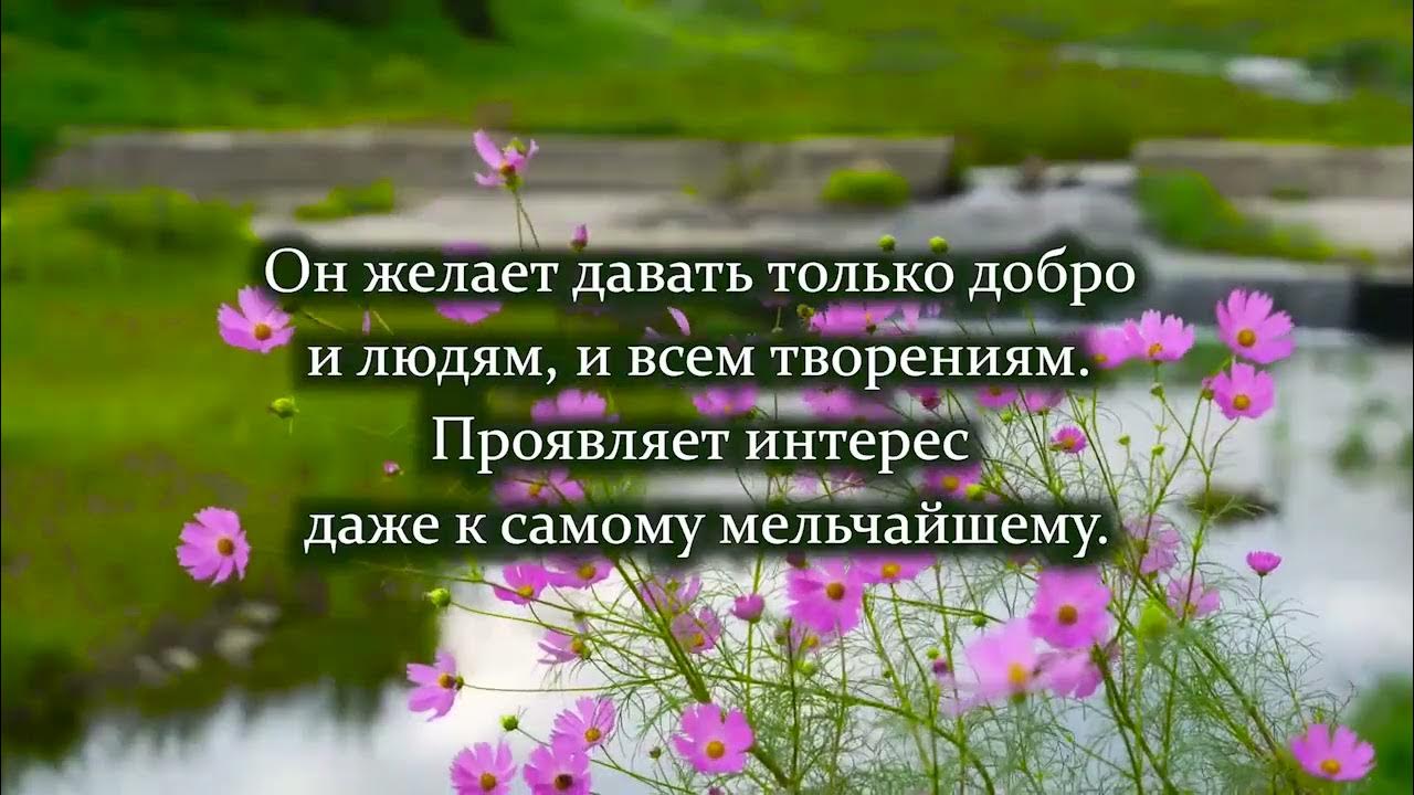 Мое сердце больше наполняется покоем и доверием к Богу. - YouTube
