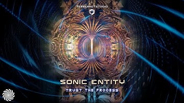 Sonic Entity - Section 9