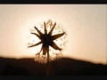 風とオレンジ