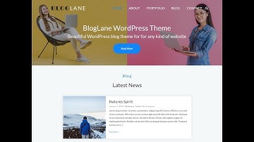 How To Setup BlogLane  WordPress Theme