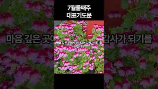 주일대표 기도문 4가지, 2025년 7월 둘째주, 2주 주일예배 기도문, 구역기도문ㅣ2025년 7월 대표기도 예시ㅣ7월 둘째주 주일예배기도 모음ㅣ7월 2주 예배 대표기도 기도문