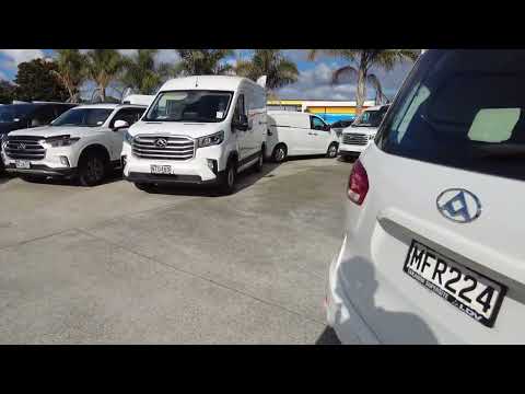 2019 LDV G10