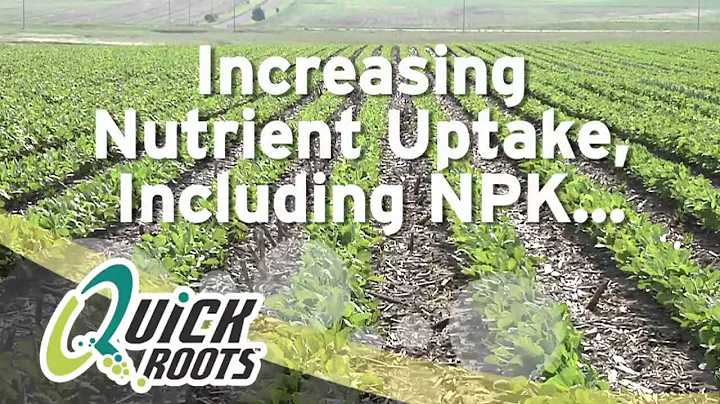 Ag PhD Show #811 (Air Date 10/20/13)