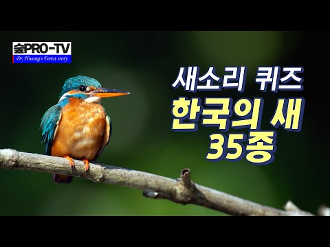 한국의 새 35종 울음소리 모음