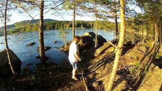 FLYTTFÅGLARNA - med SEMNOS